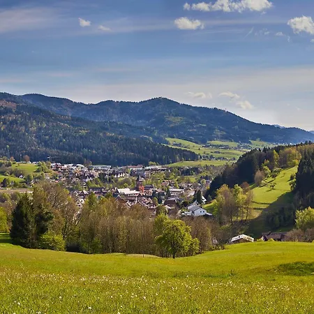 Elzland 9 Linden 4* Elzach