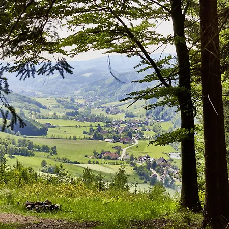 Elzland 9 Linden Otel Elzach
