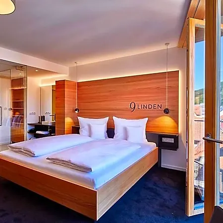 Hotel Elzland 9 Linden 4*