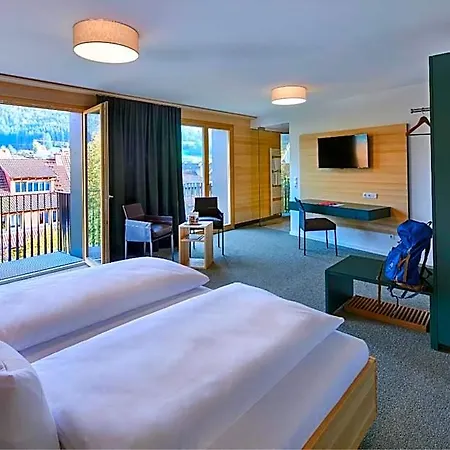 Hotel Elzland 9 Linden Elzach