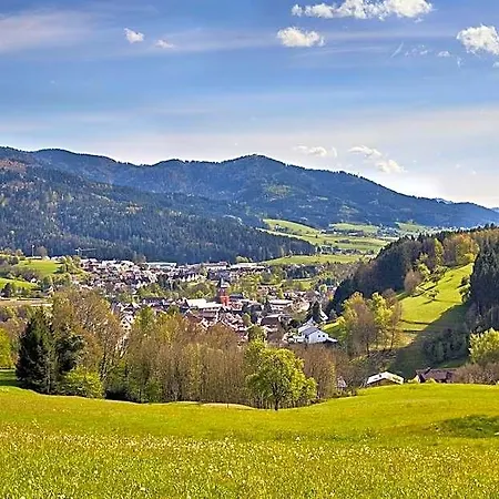 Elzland 9 Linden Hotel Elzach